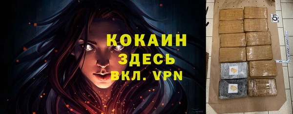 ГАЛЛЮЦИНОГЕННЫЕ ГРИБЫ Болхов