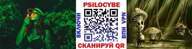 Галлюциногенные грибы мухоморы  Гаврилов Посад 